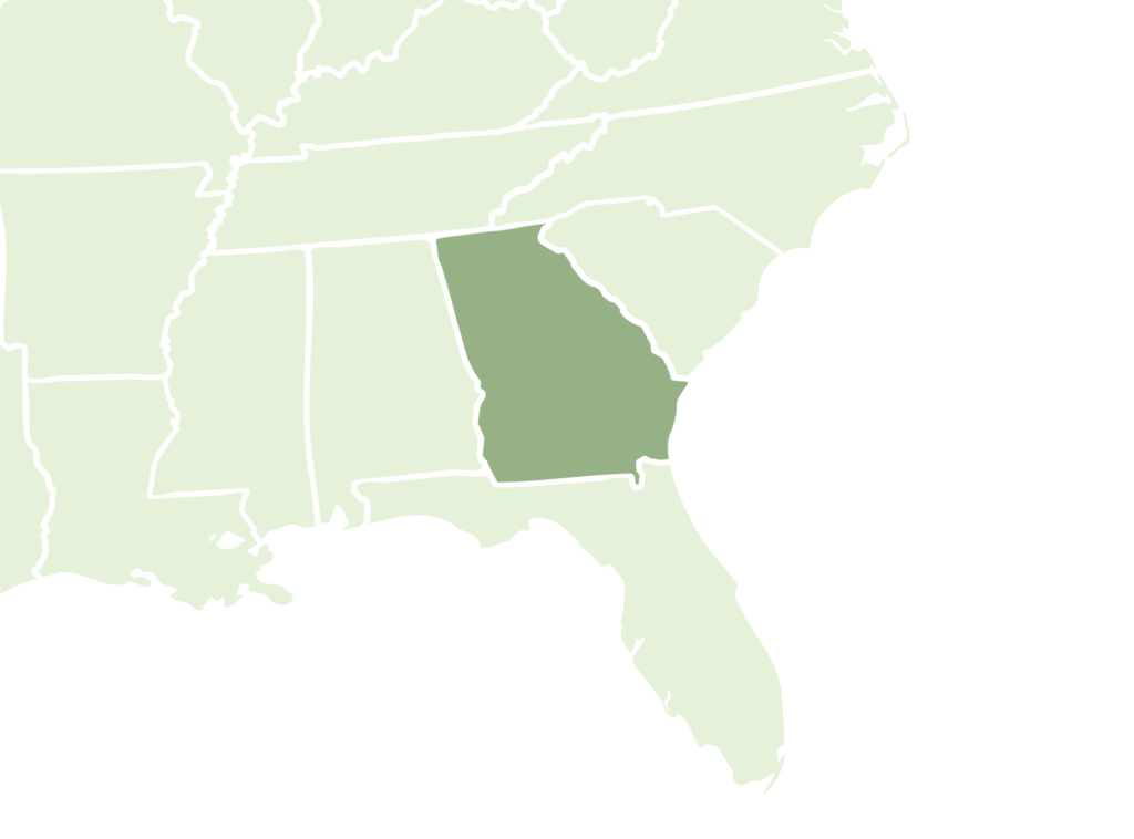 Map with Georgia